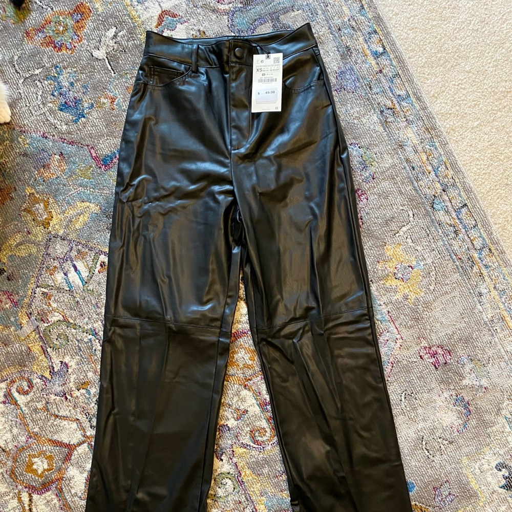 Zara vegan leather pants